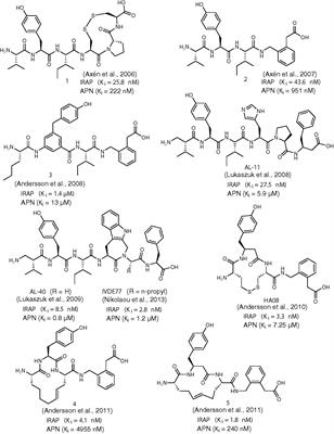 The Discovery of Insulin-Regulated Aminopeptidase (IRAP) Inhibitors: A Literature Review